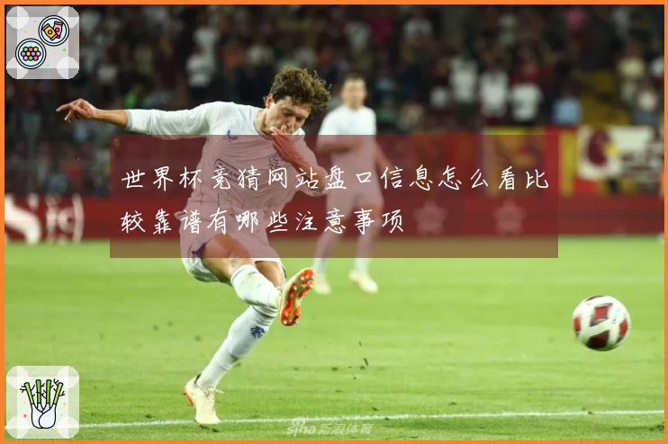 世界杯竞猜网站盘口信息怎么看比较靠谱有哪些注意事项