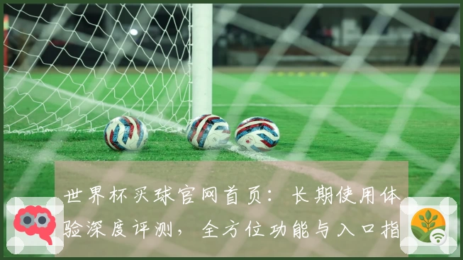 世界杯买球官网首页：长期使用体验深度评测，全方位功能与入口指引