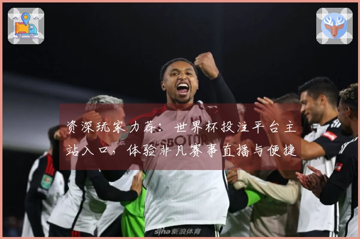 资深玩家力荐：世界杯投注平台主站入口，体验非凡赛事直播与便捷操作