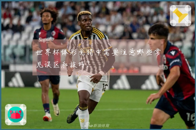 世界杯体彩竞猜中需要注意哪些常见误区和技巧？
