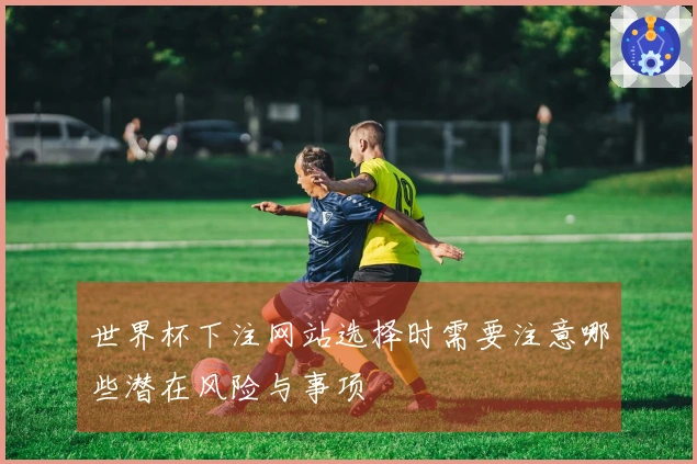 世界杯下注网站选择时需要注意哪些潜在风险与事项
