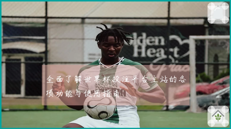 全面了解世界杯投注平台主站的各项功能与使用指南