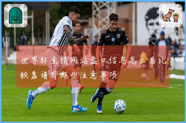 世界杯竞猜网站盘口信息怎么看比较靠谱有哪些注意事项