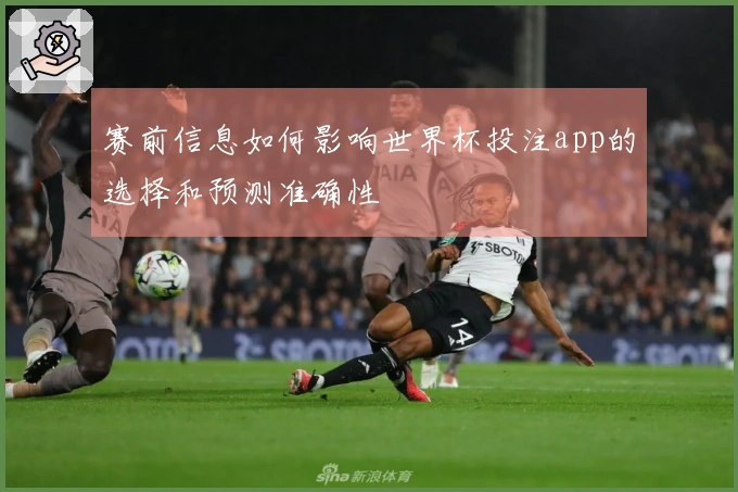 赛前信息如何影响世界杯投注app的选择和预测准确性