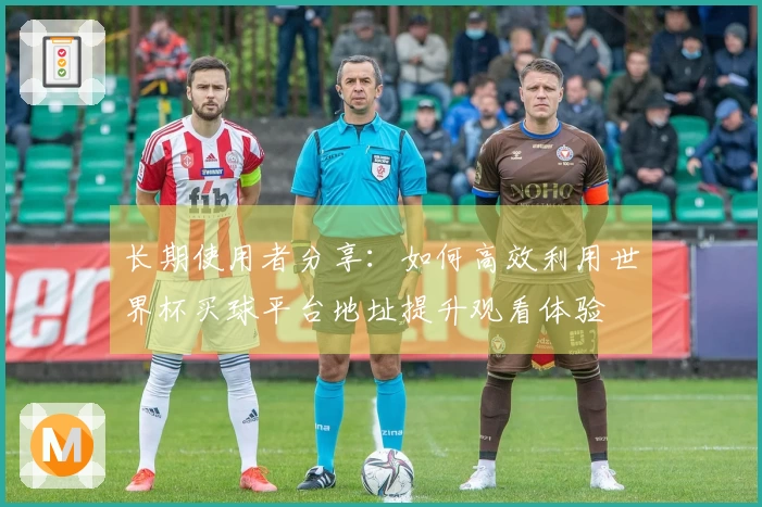 长期使用者分享:如何高效利用世界杯买球平台地址提升观看体验