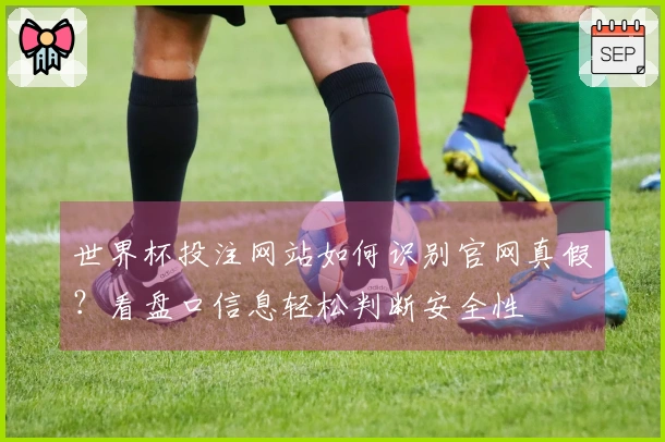 世界杯投注网站如何识别官网真假？看盘口信息轻松判断安全性