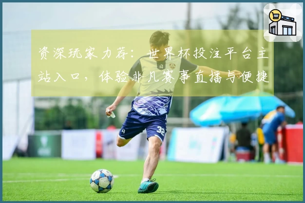 资深玩家力荐：世界杯投注平台主站入口，体验非凡赛事直播与便捷操作