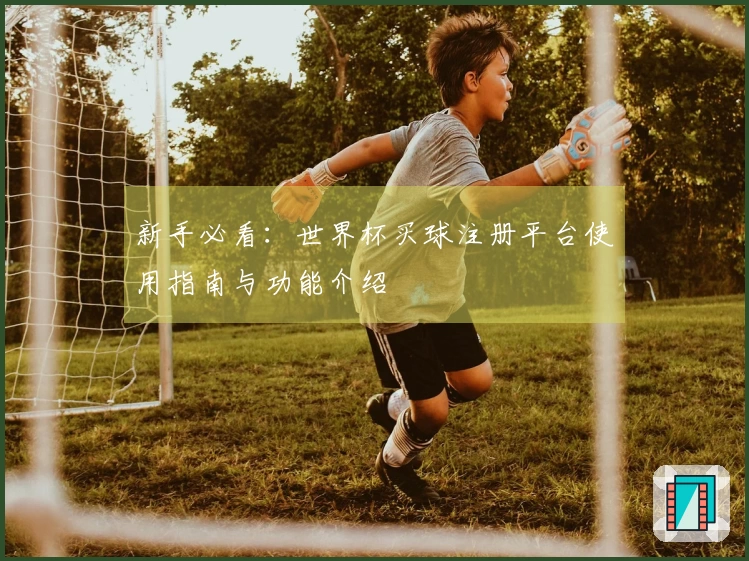 新手必看:世界杯买球注册平台使用指南与功能介绍