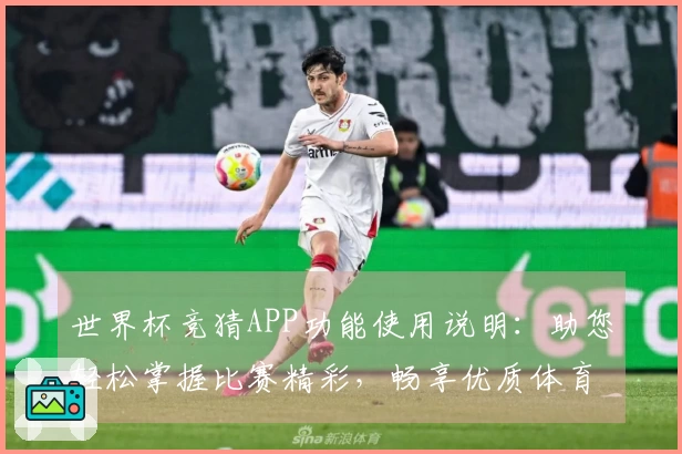 世界杯竞猜APP功能使用说明:助您轻松掌握比赛精彩,畅享优质体育直播体验