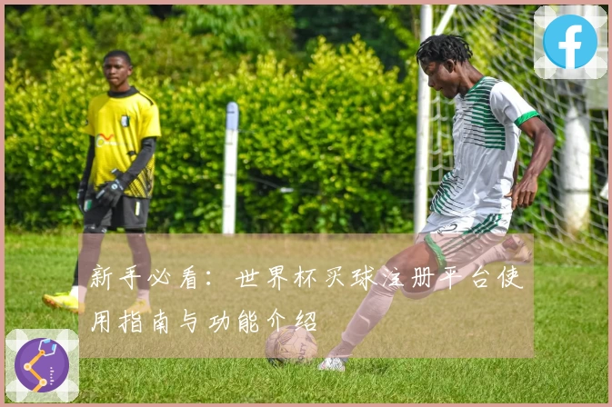 新手必看：世界杯买球注册平台使用指南与功能介绍