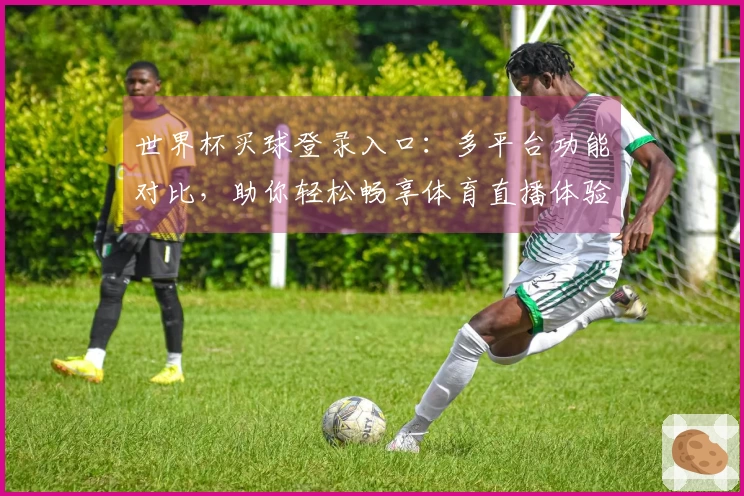 世界杯买球登录入口：多平台功能对比，助你轻松畅享体育直播体验