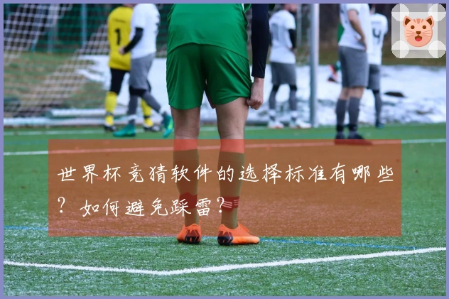 世界杯竞猜软件的选择标准有哪些？如何避免踩雷？