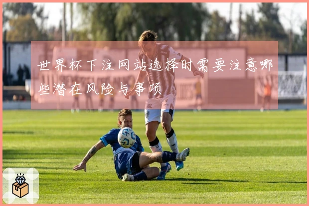 世界杯下注网站选择时需要注意哪些潜在风险与事项